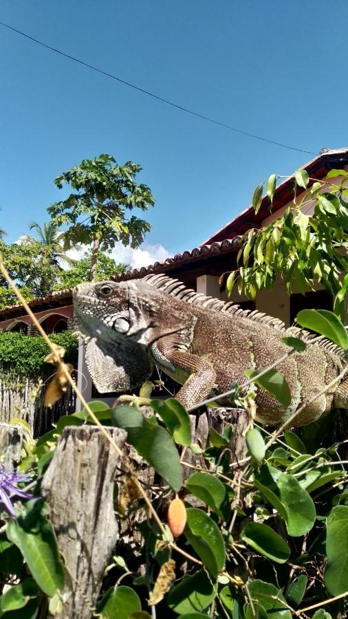 Pousada Eolos Barra Grande  Luaran gambar